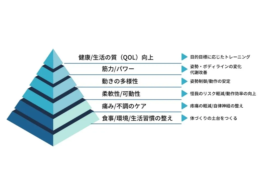 Ririの姿勢改善と生活習慣の土台から積み上げる段階的トレーニングピラミッド